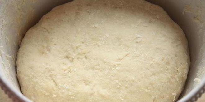 Рецепт киви-бургера по-новозеландски