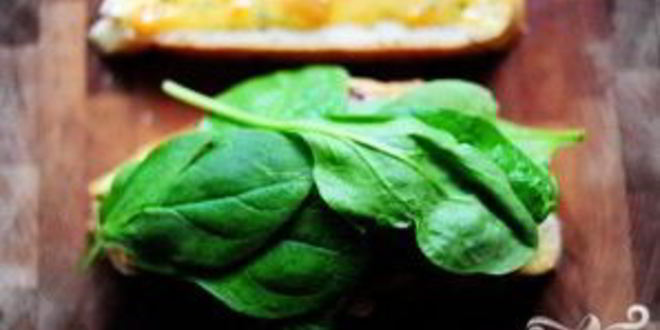 Рецепт горячих бутербродов с курицей и абрикосовым соусом