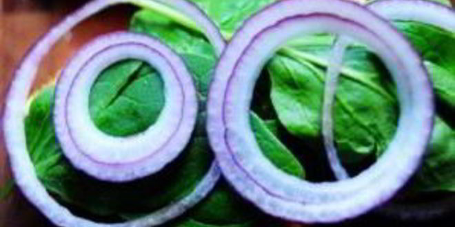 Рецепт горячих бутербродов с курицей и абрикосовым соусом