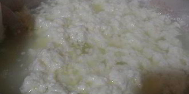 Рецепт домашнего сыра панир