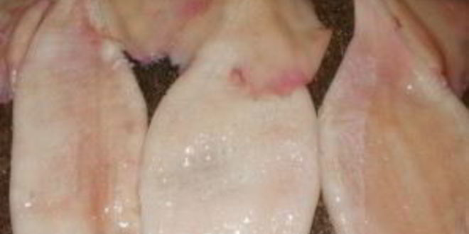 Рецепт фаршированного кальмара с рисом и яйцом