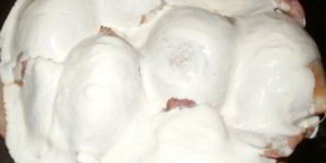 Рецепт фаршированного кальмара с рисом и яйцом