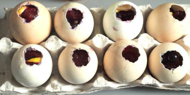 Рецепт фруктово-ягодных заливные яйца