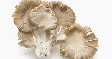 Рецепт Икры из вешенок