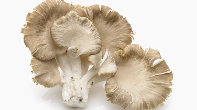 Рецепт икры из вешенок