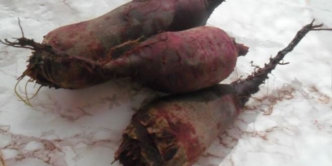 Рецепт кабачковой икры со свеклой