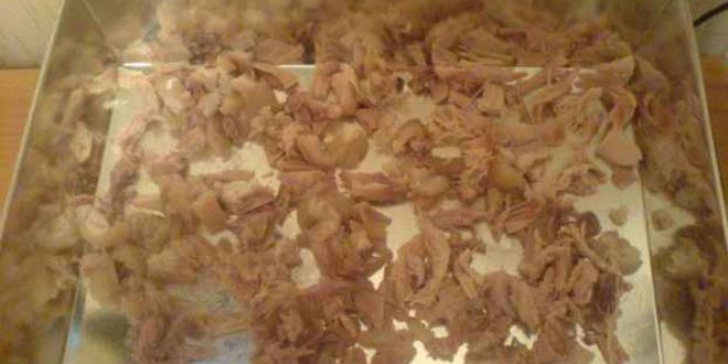 Рецепт холодца домашнего