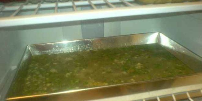 Рецепт холодца домашнего