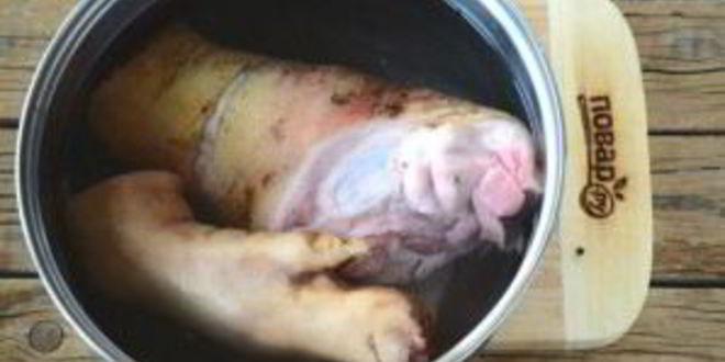 Рецепт холодца из рульки свиной