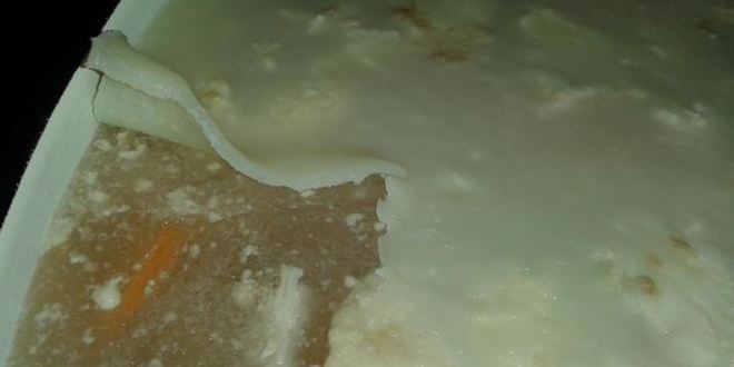 Рецепт холодца новогоднего