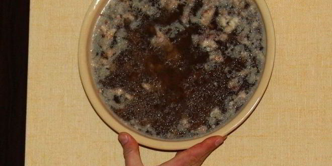 Рецепт холодца, просто холодец