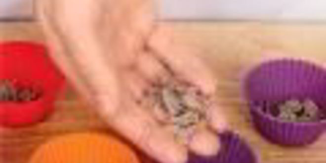 Рецепт холодца с кровавой мэри