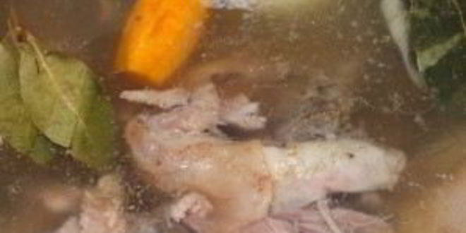 Рецепт холодца в бутылке поросенок