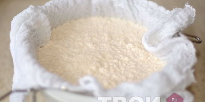 Рецепт козьего сыра