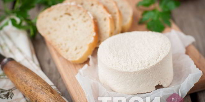 Рецепт козьего сыра