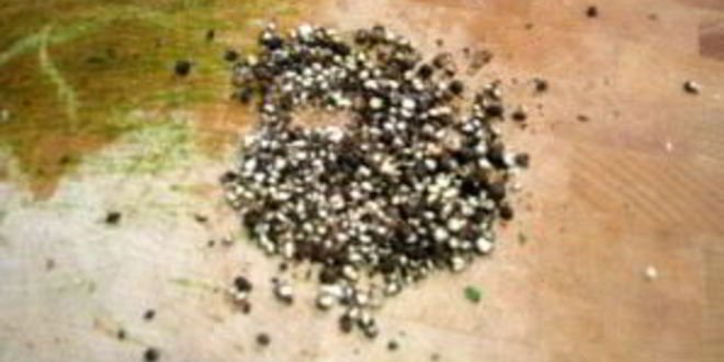 Рецепт маринованной свинины