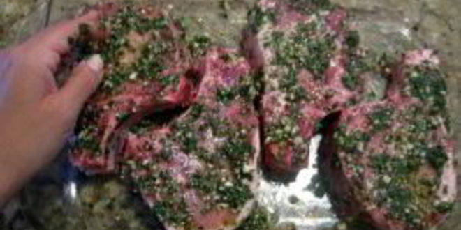 Рецепт маринованной свинины