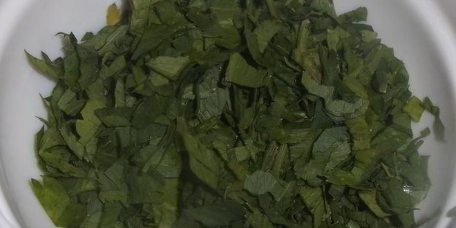 Рецепт омлета с сельдереем