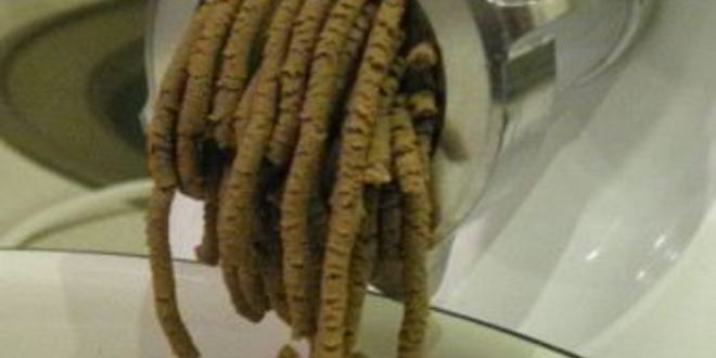 Рецепт диетического паштета