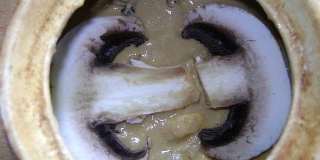 Рецепт паштета фуа-гра