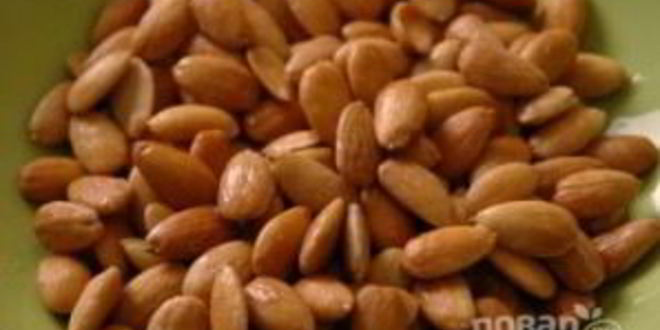 Рецепт паштета из кролика