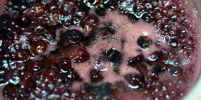 Рецепт печеночного паштета со смородиновым желе