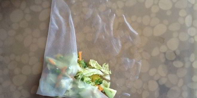 Рецепт овощных спринг-роллы