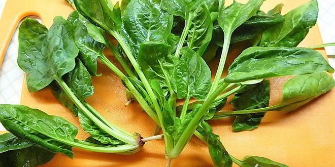 Рецепт роллов из тыквы со шпинатом, копченостями и фисташковым майонезом