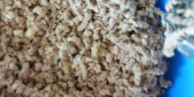 Рецепт самсы по-казахски