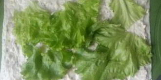 Рецепт шаурмы по-домашнему с мясом