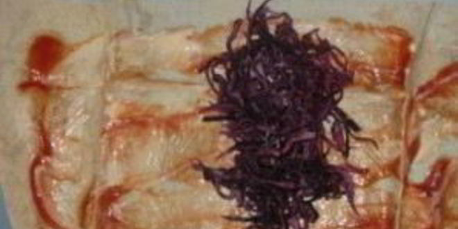 Рецепт шаурмы в лаваше