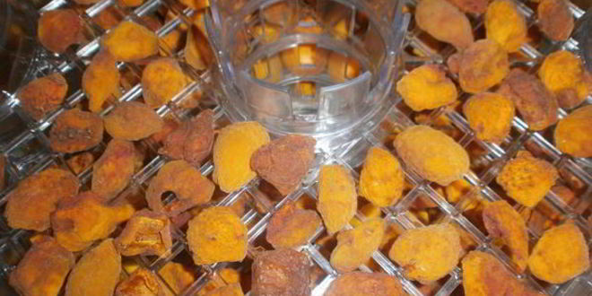 Рецепт сушки абрикосов в электросушилке