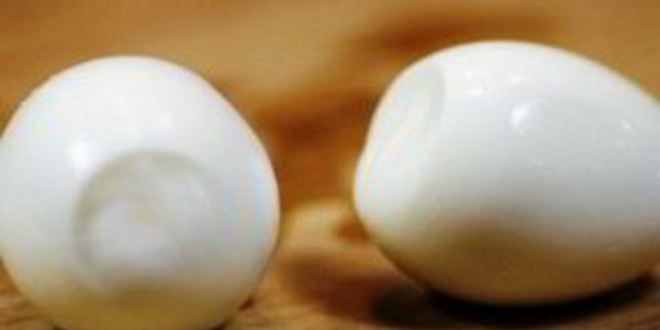 Рецепт сэндвичей с салатом из тунца