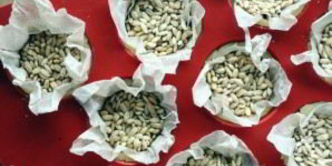 Рецепт тарталеток с морковью сладкие