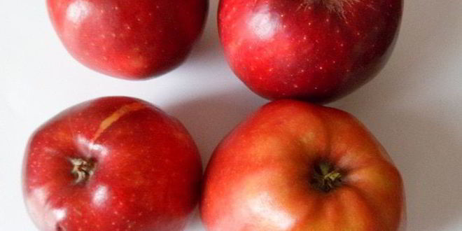 Рецепт тарталеток с яблоками, орехами и крем-фрешем