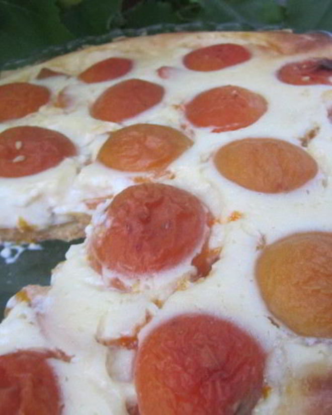 Рецепт тарта абрикосового кисленького