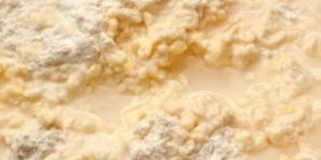 Рецепт тарта с помидорами черри