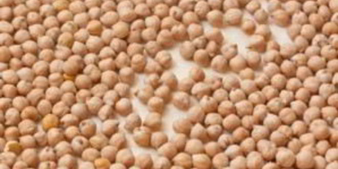 Рецепт тарта с помидорами черри