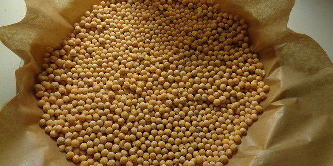 Рецепт ягодного тарта с ванильным заварным кремом