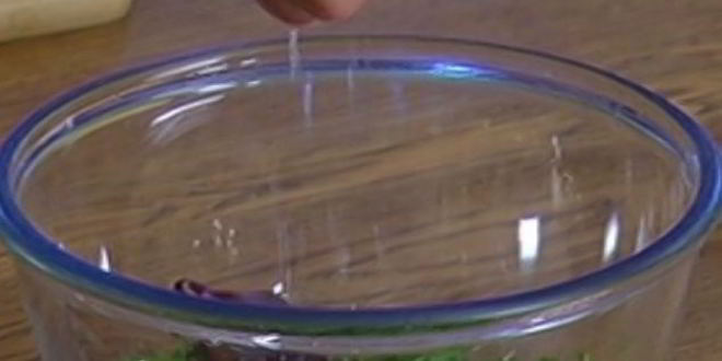 Рецепт жареных грибов на тостах