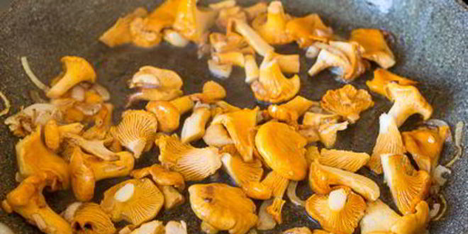 Рецепт яичницы-болтуньи с лисичками и луком