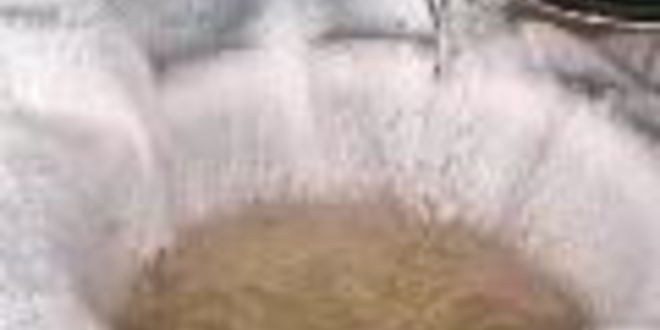 Рецепт заливного из курицы с грецкими орехами