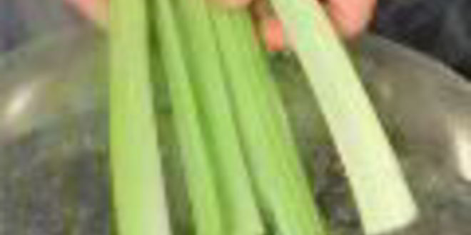 Рецепт заливного из овощей