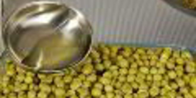 Рецепт заливного из овощей