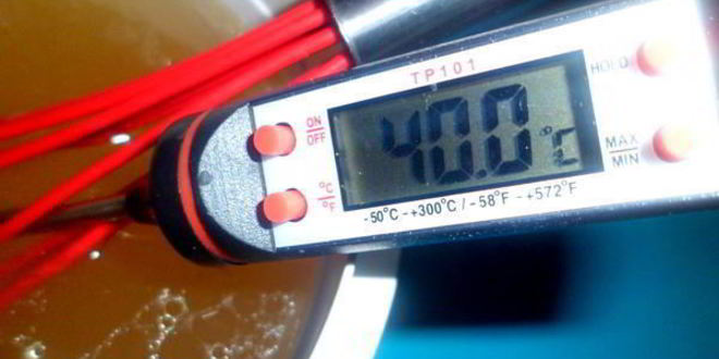 Рецепт заливного новогодний петушок