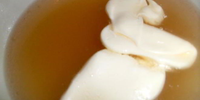 Рецепт заливного новогодний петушок