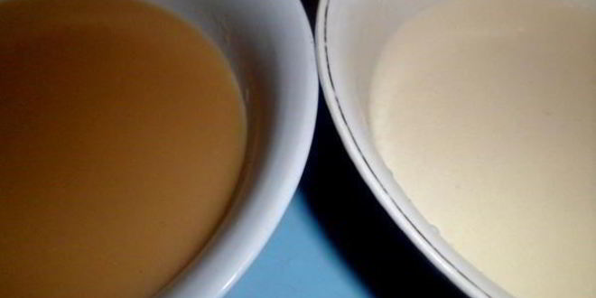 Рецепт заливного новогодний петушок