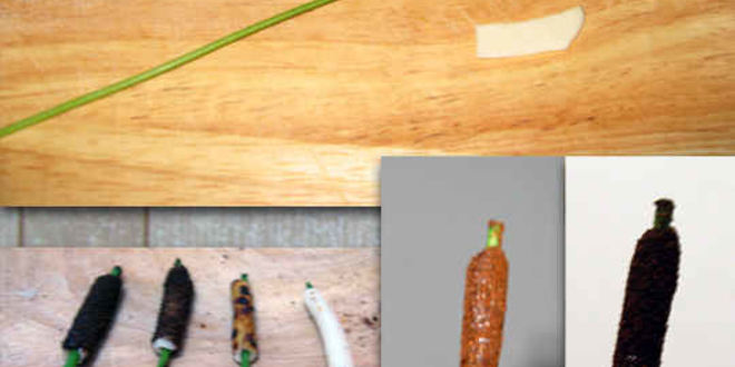 Рецепт заливного