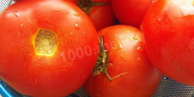 Рецепт запеченных помидоров с мясом в фольге