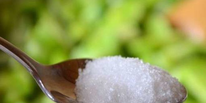 Рецепт зеленых помидоров по-корейски